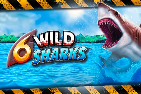 6 Wild Sharks 4Theplayer